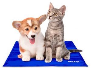 Alfombra Refrescante