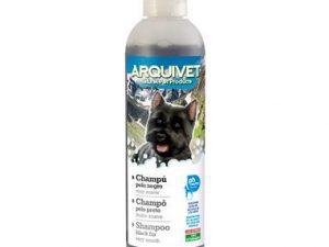 Champú