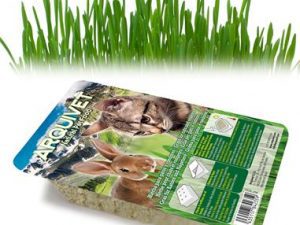 Hierba en Bandeja 100gr