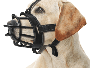 Bozal Flexible Silicona