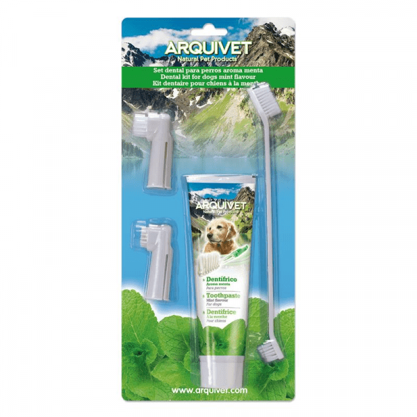 Set Dental Menta - Imagen 2
