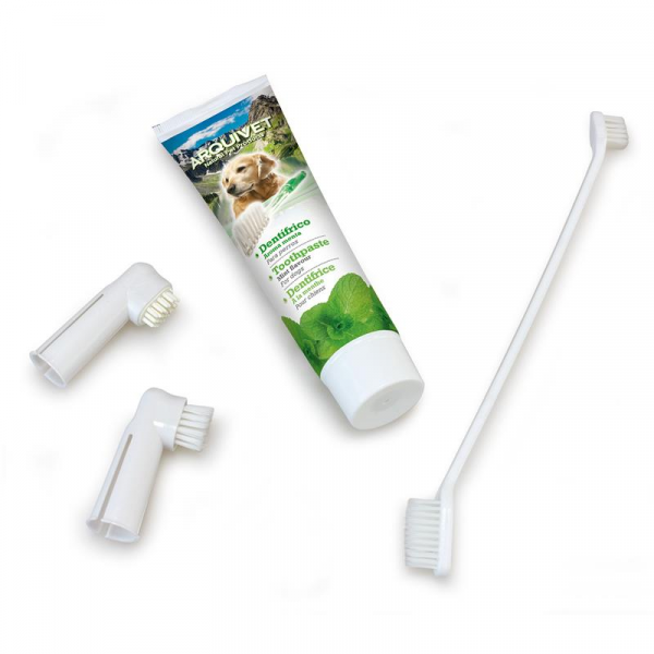 Set dental