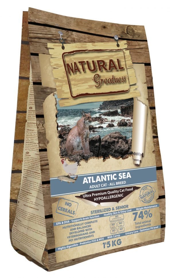 Atlantic Sea
