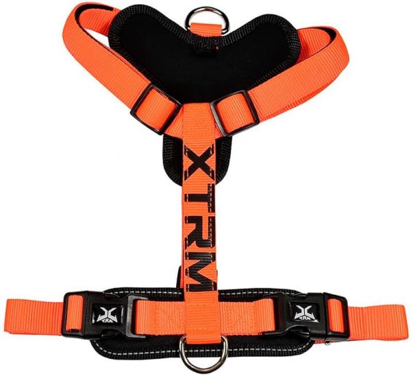Arnés X-TRM Cronos Neón Flash Naranja