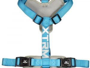 Arnés X-TRM Cronos Neón Flash Azul