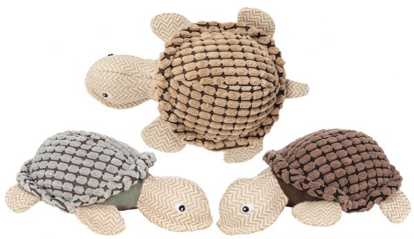 Tortuga Manuelita