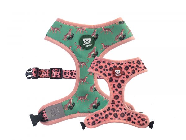 Arnés Dukier Reversible Leopard