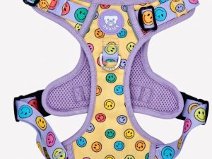 Arnés Dukier Trail Smiley