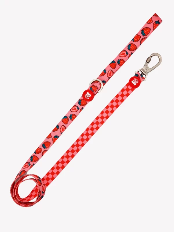 Correa Dukier Berry Love S