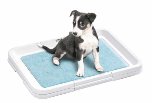 Baño para Perros