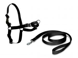 Easy Walk Arnés Negro
