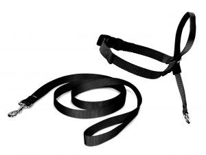 Easy Walk Ronzal Negro