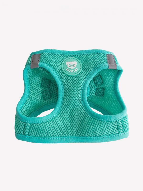 Arnés Dukier Body Mint
