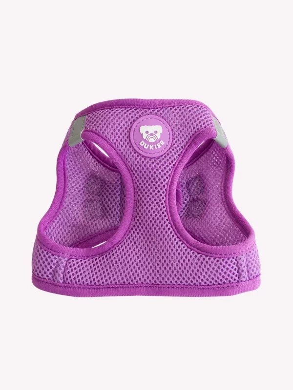 Arnés Dukier Body Purple