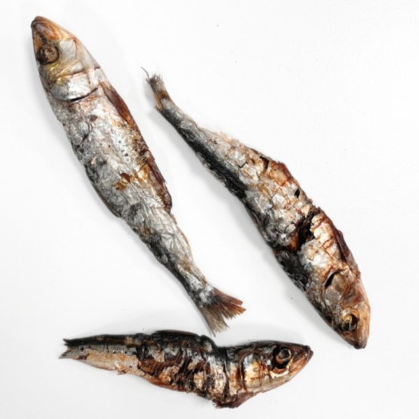 Sardinas