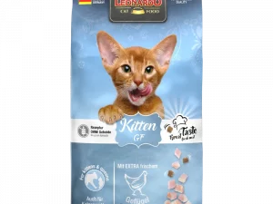 Leonardo Kitten Gf