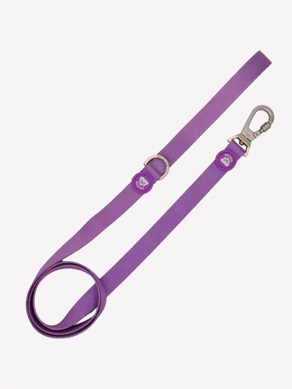 Correa Dukier Purple S