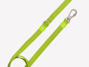 Correa Dukier Lime S