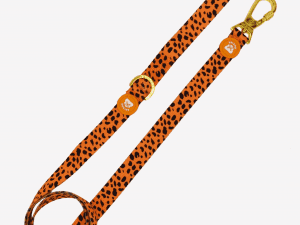 Correa Dukier Cheetah S