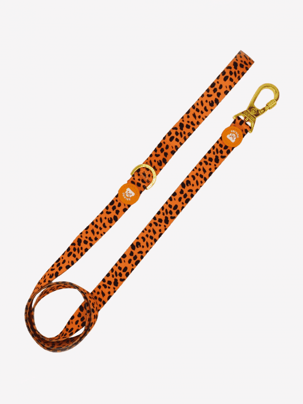 Correa Dukier Cheetah S