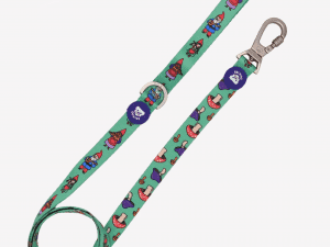 Correa Dukier Gnome S