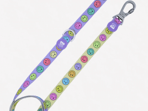 Correa Dukier Smiley S