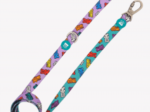 Correa Dukier Gummy Bears S