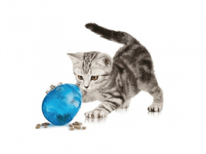 Funkitty Egg-Cersizer