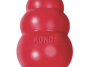 Kong Classic