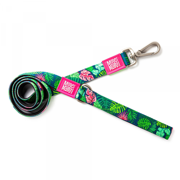 Max Correa Corta Tropical