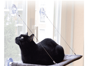 Tumbona Ventana Gato