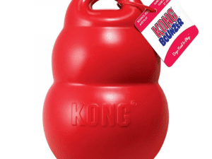 Kong Bounzer