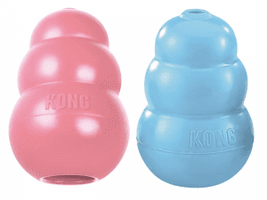 Kong Cachorro