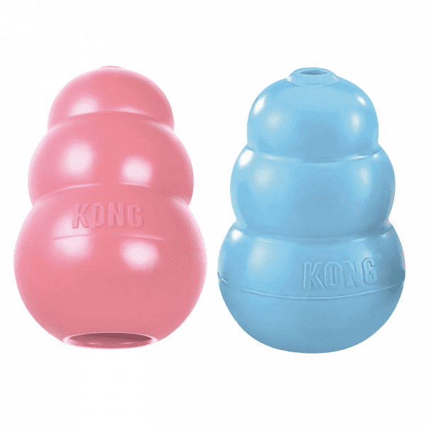 Kong Cachorro