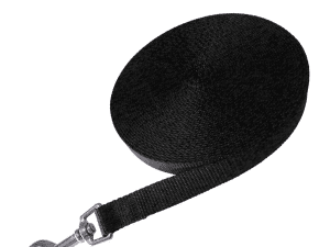 Correa Adiestramiento