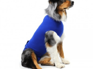 Camiseta Recuperación