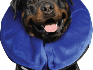 Kong Cloud Collar Hinchable