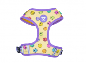 Arnés Dukier Ajustable Smiley