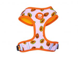 Arnés Dukier Ajustable Papaya