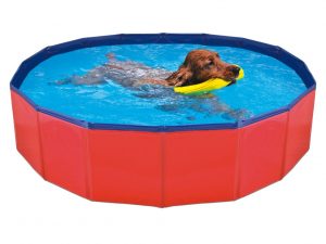 Piscina Para Perros