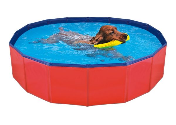 Piscina Para Perros