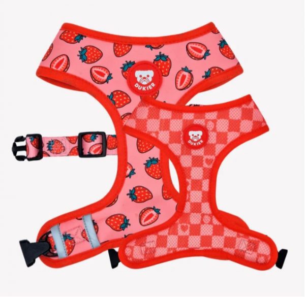 Arnés Dukier Reversible Berry Love