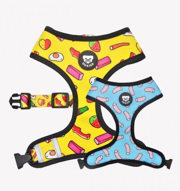 Arnés Dukier Reversible Chuches