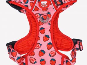 Arnés Dukier Trail Berry Love