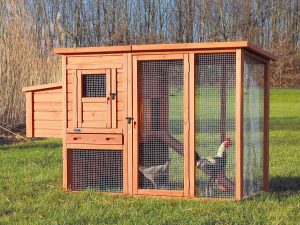 Gallinero Natura 170x105x77cm