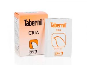 Tabernil Cria
