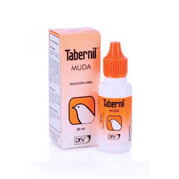 Tabernil Muda