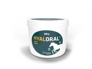 Hyaloral Equino 840 gr