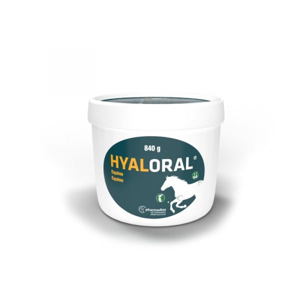 Hyaloral Equino 840 gr
