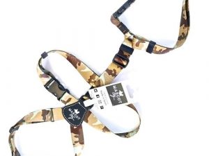 Petral Triple Safari Arena